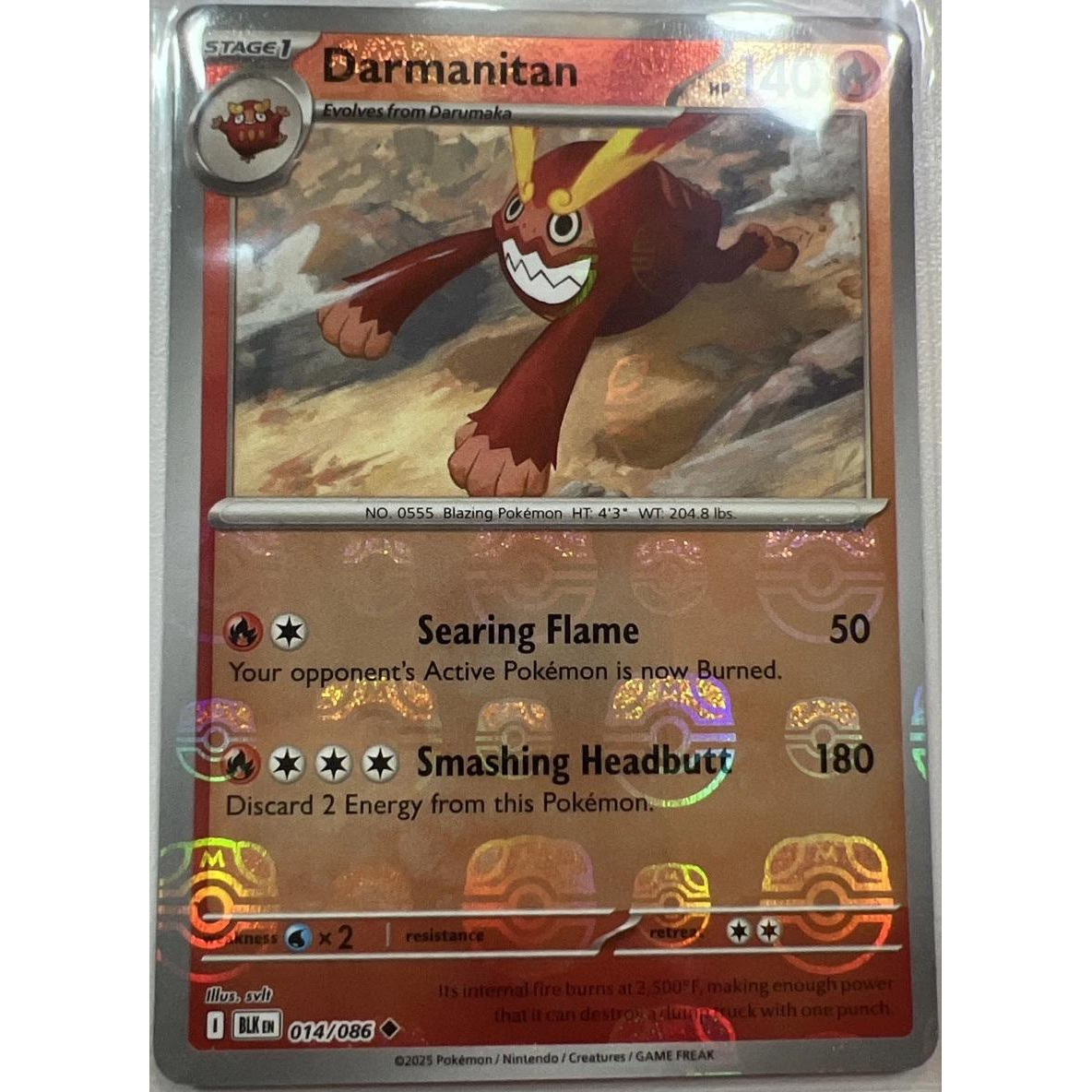 Darmanitan Master Ball #14